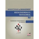 Minidictionar De Management 15 Reengineeringul Managerial - Ovidiu Nicolescu