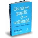 Ce mi-a soptit o vrabiuta - Biz Stone