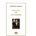 Noapte de decembrie - Dumitru Chican