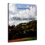 Biblia unui roman | Octavia Gavrilescu