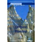 Definind Maestrul