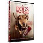 Drumul unui caine catre casa / A Dog's Way Home | Charles Martin Smith
