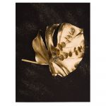Frunza Aurie Monstera Tablou - Material produs:: Poster pe hartie FARA RAMA, Dimensiunea:: 70x100 cm