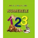 Sunt mic si vreau sa aflu - Numerele | 