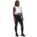 Colanti cu talie inalta pentru fitness Authentics