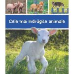 Cele mai indragite animale | 