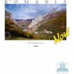 Made in Romania - Lb. Italiana - Florin Andreescu