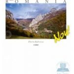 Made In Romania - Lb. Romana - Florin Andreescu