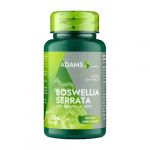Boswellia Serata - Extract Tămâie, 30cps, Adams