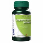 DVR Magneziu Marin Japonez 60cps