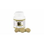 Nausi Tab, 20 tablete - 110 g