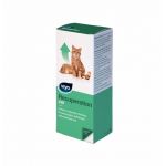 Viyo Recuperation Cat -150 ml