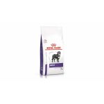 Royal Canin Adult Large Dog Dry - 13 kg