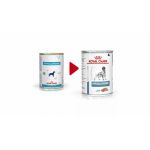 Royal Canin Hypoallergenic Dog conserva 400 g