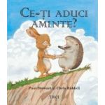 Ce-ti aduci aminte - Paul Stewart Chris Riddell