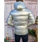 Geaca de iarna barbateasca argintie, croiala slim-fit - GC630