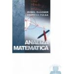 Analiza matematica 2008 - Irinel Radomir Andreea Fulga