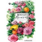 Bunele maniere Larousse - Sabine Denuelle