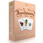 Montessori. Vocabular - Insecte din Romania