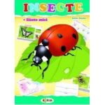 Insecte mapa - Inesa Tautu