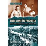 Trei luni în Pocutia: actiuni ale Diviziei 8 Infanterie (23 mai-24 august 1919) | Ion Giurca