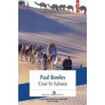 Ceai in Sahara - Paul Bowles