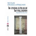 In zodia exilului. Intrezariri | Nicolae Stroescu-Stinisoara