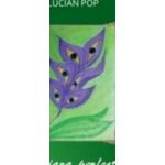 Amiaza Perfecta - Lucian Pop
