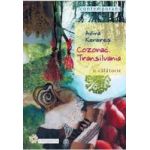 Cozonac. Transilvania - Adina Keneres