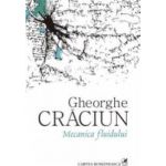Mecanica Fluidului - Gheorghe Craciun