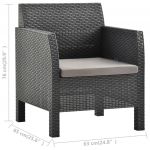 Set mobilier de gradina cu perne