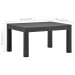 Set mobilier de gradina cu perne