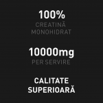 Creatina Monohidrat 300g