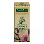 ARBORE DE IUDEEA - muguri - 50ml - PlantExtrakt