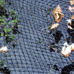 Velda Plasa de acoperire pentru iazuri
