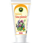 Balsam Taina Plantelor 200ml - Hypericum