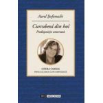 Curcubeul din hol - Aurel Stefanachi