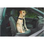 Ham de siguranta auto pentru caini Beeztees L 75x90 cm