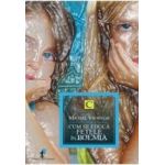 Cum se educa fetele in Boemia - Michael Viewegh