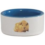 Bol din ceramica Beeztees pentru rozatoare 7.5 cm