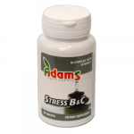 Stress B&C 30tb - ADAMS