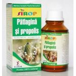 SIROP PATLAGINA SI PROPOLIS 100ml, Pontica Elidor
