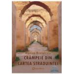Crampeie din cartea straduintei - Monica Bratulescu