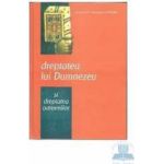 Dreptatea lui Dumnezeu si dreptatea oamenilor - Constantin Coman
