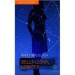 Bellinzona noaptea - Martin Gulich