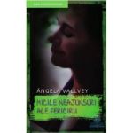Micile neajunsuri ale fericirii - Angela Vallvey
