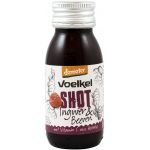 Bautura din ghimbir si fructe de padure cu vitamina C din acerola, 60ml - Voelkel
