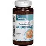 Acidophilus 60 cps - VITAKING