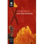 Nuntile necesare - Dumitru Tepeneag