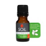 Ulei Esential Busuioc, 10ml - SOiL